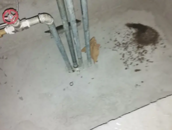 岗巴卫生间测漏水价格明细