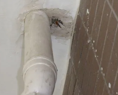 岗巴漏水检测哪家好